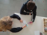 IMG_20241120_120444890_MFNR